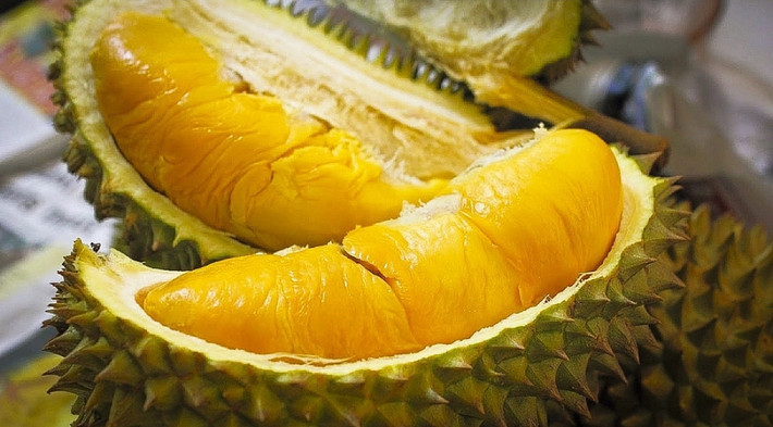 Nếu sầu riêng trông phẳng, không có chỗ nào phồng lên, đó là những quả sầu riêng đực, mùi vị không sánh bằng lại còn ít thịt hơn sầu riêng cái, bạn sẽ hối hận khi mua về.
