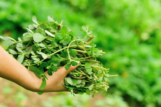 Phương pháp làm mặt nạ rau sam như sau: Đầu tiên rửa sạch và đập dập, hoặc trực tiếp xay làm nước ép, lọc bỏ bã, lấy nước cốt.