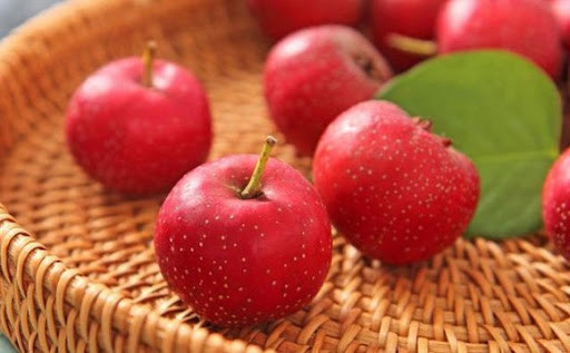 Những lợi khuẩn đường ruột cực kỳ quan trọng trong việc duy trì hệ tiêu hóa khỏe mạnh, vì vậy nếu có điều kiện, hãy sử dụng quả sơn trà thường xuyên, bạn sẽ giảm chứng khó tiêu.