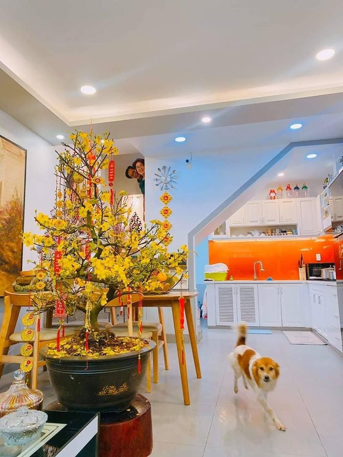 Bên trong phòng khách của Khánh Vân cũng trưng một chậu mai vàng đang nở rộ