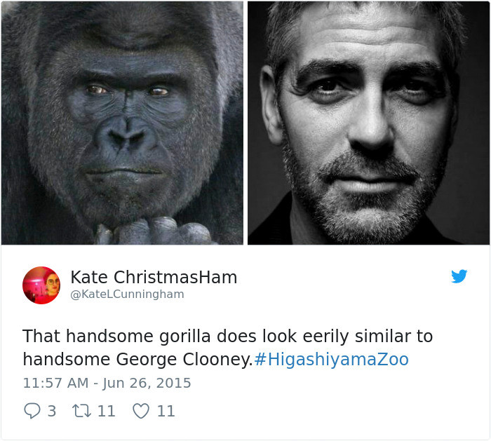 Nhiều người so sánh vẻ đẹp trai lôi cuốn của Shabani giống như tài tử điện ảnh George Clooney, một diễn viên từng đoạt Giải Oscar và Giải thưởng Quả Cầu Vàng đồng thời còn là một đạo diễn, nhà sản xuất phim và tác giả kịch bản phim.
