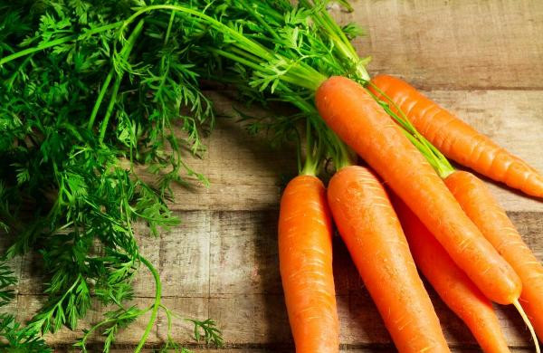 Cà rốt vị ngọt cay, tính hơi ấm, có tác dụng hạ khí bổ trung, yên ngũ tạng, tăng tiêu hóa, làm khoan khoái trong bụng.