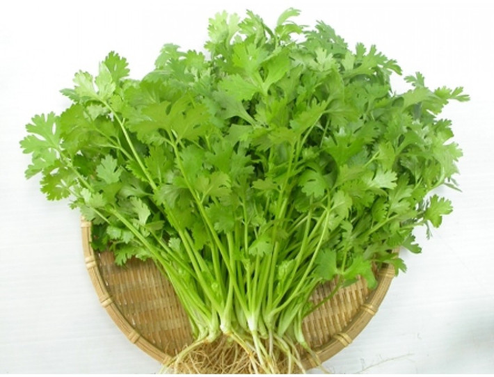 Vào thời tiết giao mùa, chúng ta rất dễ bị cảm cúm, cảm lạnh. Bài thuốc từ rau mùi ta có sẵn vào mùa đông có thể giúp bạn nhanh chóng đẩy lùi các vấn đề này. Ảnh: Blog cây thuốc.