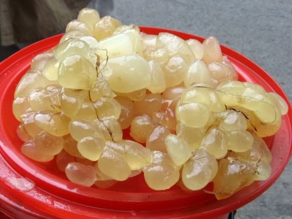 Mỡ rắn tác dụng bài độc, sinh cơ, giúp vết thương nhanh chóng lên da non, điều trị các vết bỏng, nứt nẻ da tay chân. Ảnh: Bài thuốc.