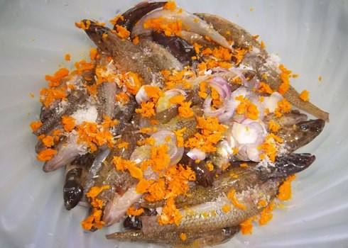 Cá đồng kho nghệ: Nguyên liệu cần chuẩn bị: Cá lóc hoặc cá bống, nghệ tươi, hành lá nước mắm, đường, hạt nêm, dầu ăn, dừa tươi.