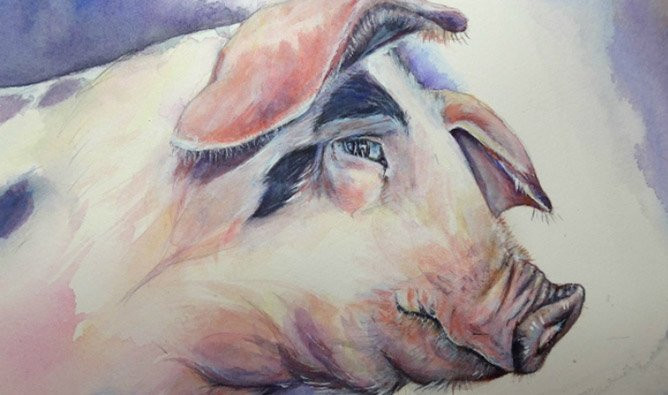Vận thế ngày 8/7/2024 của người tuổi Hợi xung đột. Tình cảm: Con giáp này xảy ra xung đột với bạn bè vì có quan điểm sống khác biệt. Công việc: Tuổi Hợi nghĩ cách thay đổi bầu không khí ngột ngạt ở công ty. Tiền bạc: Tài chính của tuổi Hợi không quá dư dả để giúp đỡ người khác. (Bài viết chỉ mang tính tham khảo, cung cấp nội dung trắc nghiệm vui cho bạn đọc).