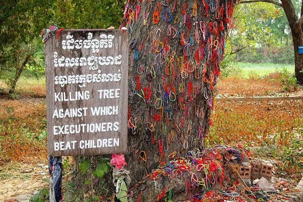 Đây là Cây hành quyết - nơi Khmer Đỏ trói những đứa trẻ và đánh chúng cho tới chết.