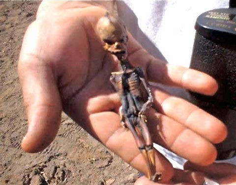 Bộ xương hình người với kích thước siêu nhỏ này được tìm thấy ở sa mạc Atacama, Chile nhanh chóng thu hút sự quan tâm của giới chuyên gia cũng như công chúng.