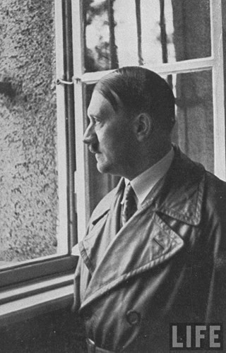 Tuy nhiên, Wehrmacht - quân thường trực phát xít Đức vẫn cho rằng những con ngựa có giá trị trên chiến trường nên quyết định sử dụng chúng ở mặt trận phía Đông.