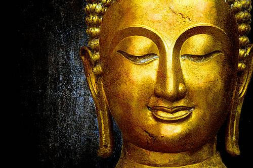 Tiến sĩ S. Radhakrisnan đồng thời là triết gia và chính trị gia người Ấn Độ cũng đưa ra quan điểm về vai trò của Đức Phật đối với nhân loại.