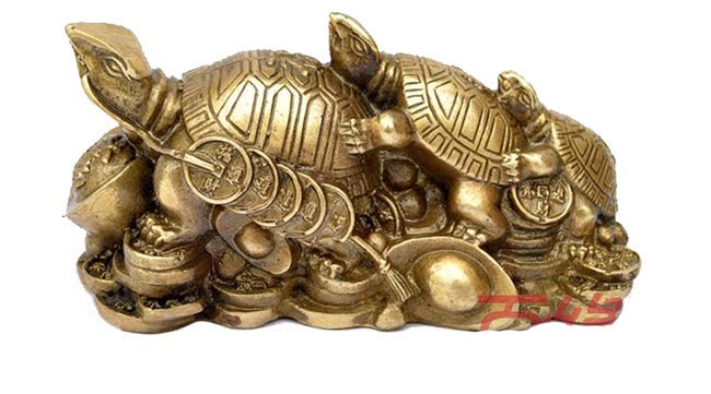 Chính vì vậy, dân gian quan niệm rùa mang đến nhiều điềm lành, may mắn và tài lộc. Đặc biệt, rùa được xem là biểu tượng của sự trường thọ. Do vậy, nhiều người bày trí tượng rùa trong nhà hay văn phòng.