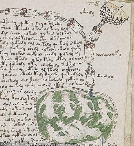 Tiến sĩ Gerard Cheshire tiết lộ ngôn ngữ viết trong bản thảo Voynich là sự kết hợp của các biểu tượng lạ và quen thuộc không có dấu chấm câu chuyên dụng dù một số chữ cái có các biến thể ký hiệu để chỉ dấu chấm câu hoặc ngữ âm.