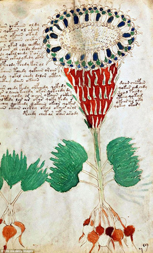 Bản thảo Voynich gây chú ý khi gồm 240 trang bằng da thuộc. Cuốn sách này "đánh đố" nhân loại khi được viết bằng loại ngôn ngữ khó hiểu, chưa từng được biết đến.