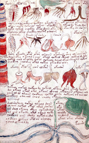 Trong suốt nhiều thập kỷ qua, bản thảo Voynich trở thành bí ẩn khó giải mà giới khoa học đau đầu đi tìm lời giải.