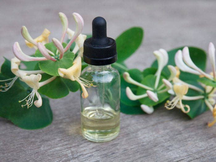 Tinh dầu chiết xuất từ kim ngân hoa sẽ giúp bạn xoa dịu căng thẳng.