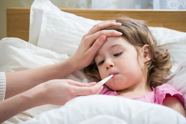 Cải thiện hệ miễn dịch và trị sốt: Uống trà kim ngân hoa cùng một chút mật ong sẽ giúp tăng cường hệ miễn dịch và chống lại một số bệnh theo mùa như cảm cúm hay cảm lạnh. Ngoài ra kim ngân hoa còn có tác dụng “thần kỳ” trong trị sốt và giúp xoa dịu cơn ho và đau họng.