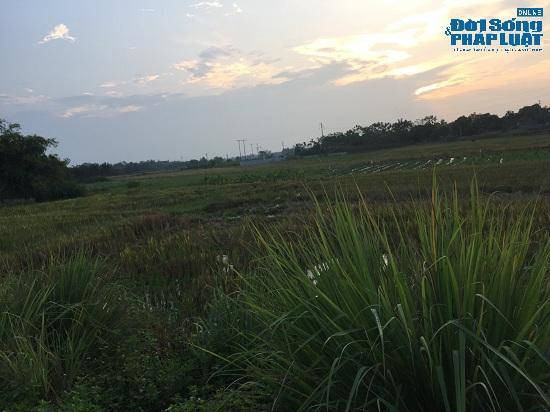 Tại cuộc họp trên, sư Thích Thanh Toàn đã có tờ trình xin xả giới và hoàn tục vì không xứng đáng làm một người đệ tử xuất gia. Đồng thời, sư Toàn xin bàn giao lại chùa Nga Hoàng cho GHPGVN tỉnh Vĩnh Phúc. Tuy nhiên, sư Toàn mong muốn xin giữ lại tài sản cá nhân của mình.