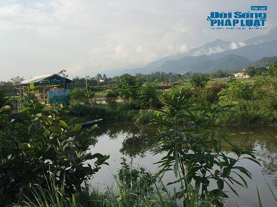 Theo lời sư Toàn, trang trại ở khu vực chùa Nga Hoàng là tài sản cá nhân của mình, không thuộc chùa và có trị giá khoảng 200-300 tỷ đồng. Trongb ảnh là khu thảo dược bên trong " trang trại 300 tỷ" của sư thầy Thích Thanh Toàn.