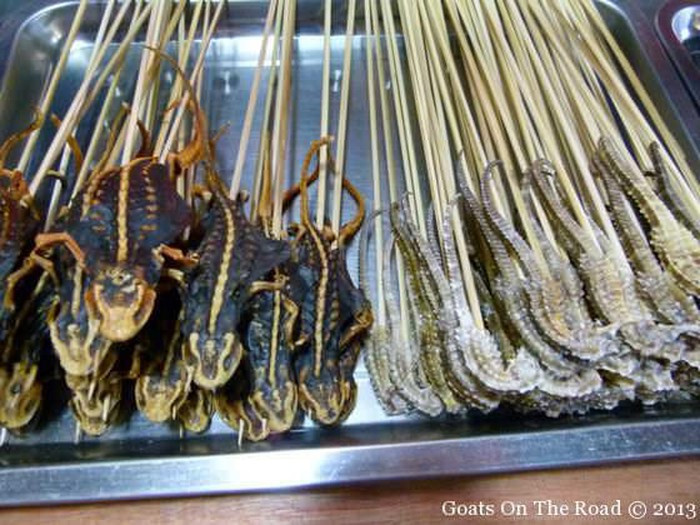 Cá ngựa: Con vật nhỏ xíu này của đại dương được các thợ lặn tìm kiếm. Sau đó, nó được chiên giòn, xiên vào que và trở thành món ăn vặt ngon lành. Ảnh: SP, GOTR. Video "Chế biến món ngon từ nấm đông cô". Nguồn: VTC.