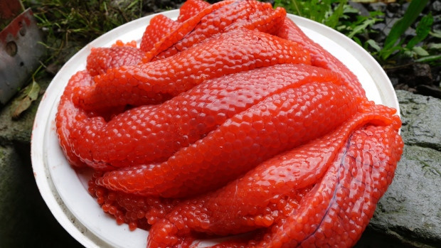 Một đặc sản lên men khác của Alaska là “trứng cá thối”. Trong đó, cá hồi cái thường có các buồng trứng lớn vào mùa hè. Trứng sẽ được chôn cùng đầu cá, cho đến khi phần ngoài cứng lại và bên trong mềm hơn. Ảnh: Internet.
