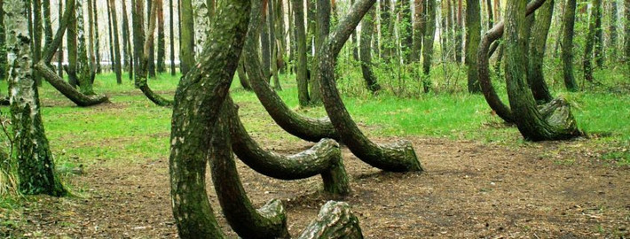 Vì vậy, người ta đồn rằng một thế lực siêu nhiên bí ẩn khiến con người gặp phải những sự kiện lạ lùng trên.