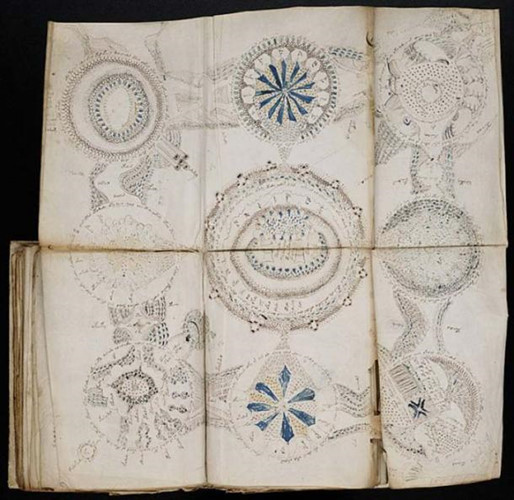 Cụ thể, bản thảo Voynich được viết bằng tay và có những hình minh họa như cây cối, thiết bị thí nghiệm cổ xưa, ký hiệu chiêm tinh liên quan đến nhiều lĩnh vực giống như y khoa, sinh học, hóa học, vũ trụ... Nó được cho có trong khoảng thời gian từ năm 1404 - 1438.