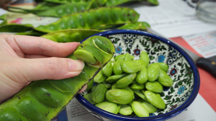 Những hạt đậu sa tor thường có mùi hăng hắc, hơi hôi cho dù chúng đã được tẩm ướp kỹ và xào cùng với nhiều nguyên liệu vị thơm ngon khác.