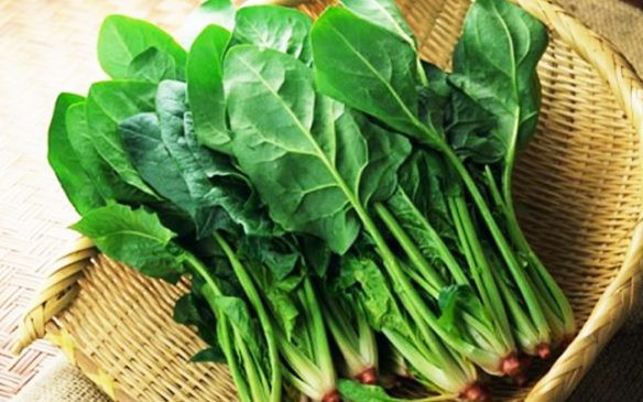Rau bina là một nguồn vitamin C, folate, và các chất chống oxy hóa khác cần thiết cho cơ thể.b Ngoài ra, đây còn là loại rau tốt cho thị lực vì nó có chứa lutein, giúp ngăn chặn bệnh đục thủy tinh thể. Phụ nữ nên ăn rau bina hàng ngày vì mục đích giữ cho xương luôn chắc khỏe, ngăn ngừa loãng xương.