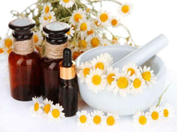Tinh dầu hoa cúc có các hợp chất flavonoid như quercetin, luteolin, và apigenin có đặc tính kháng viêm. Tinh dầu hoa cúc cũng có tính chất giảm đau có thể làm giảm các triệu chứng bệnh gout.