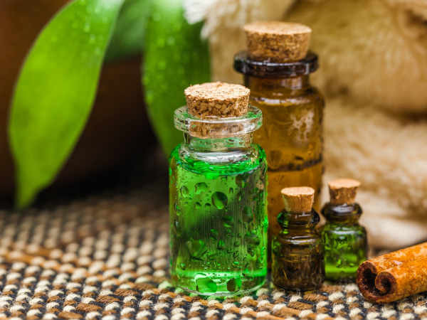 Tinh dầu trà có đặc tính kháng khuẩn và kháng nấm, rất phù hợp để điều trị các bệnh như bệnh gout. Pha tinh dầu trà với một chất mang dầu và xoa lên khu vực bị đau khớp, điều này làm dịu các dây thần kinh bị viêm do đó làm giảm đau do gout. Ảnh: BS.