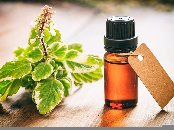 Tinh dầu trầm hương có tác dụng chống viêm đối với bệnh nhân gout. Trầm hương được chiết xuất từ nhựa cây Boswellia.