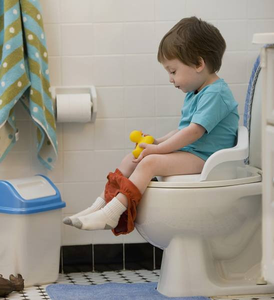 Khi cho trẻ đi vệ sinh, các bậc cha mẹ nên chú ý vì nếu chẳng may trẻ mải chơi và ngã cắm đầu vào đó vì mải với theo đồ chơi bị rơi vào trong bồn cầu.