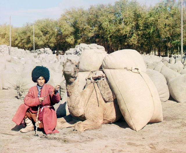 Người đàn ông ngồi nghỉ bên con lạc đà năm 1907.