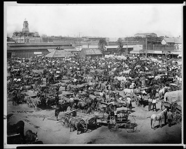 Khu chợ sầm uất ở Cleburne, Texas năm 1900.