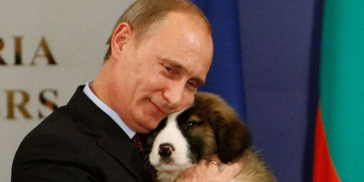 Điều thú vị khác là Tổng thống Putin rất yêu loài chó và có những chú chó cưng.