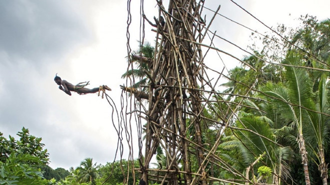 Nhảy bungee bằng dây rừng: Các nam thiếu niên của bộ tộc Vanuatu sống ở đảo Pentecost phải thực hiện nghi lễ nhảy từ tháp cao 30 m xuống đất chỉ với một sợ dây rừng cột vào chân. Họ càng xuống sát mặt đất thì càng được đánh giá cao. Không ít người đã bị thương nặng, thậm chí là thiệt mạng sau nghi lễ trưởng thành đáng sợ này.