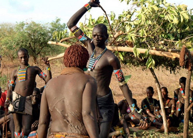 Cuộc chiến bằng gậy nhọn: Các thành viên nam của bộ tộc Fulani ở Tây Phi chỉ được công nhận là đã trưởng thành sau khi tham gia một cuộc chiến bằng gậy nhọn. Mỗi người sẽ dùng một con dao vót nhọn đầu gậy, sau đó đối mặt với một người khác. Đấu thủ sẽ có 3 lần tấn công, ai tấn công mạnh nhất và rên rỉ ít nhất sẽ chiến thắng. Người thua phải thực hiện lại nghi lễ này nếu muốn được bộ tộc công nhận.