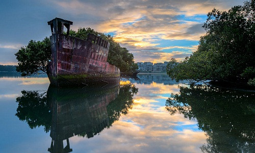 Tàu SS Ayrfield bị bỏ hoang và nằm yên nghỉ ở Vịnh Homebush, Sydney, Australia sau khi Chiến tranh thế giới 2 kết thúc.