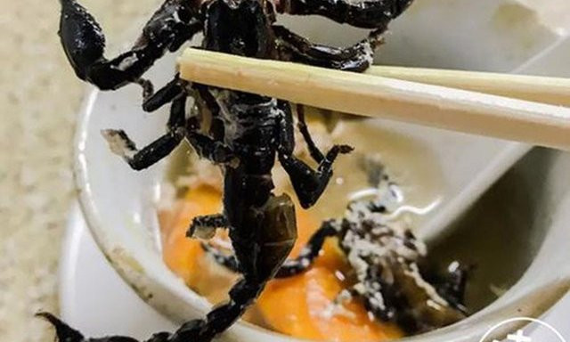 Nhiều thực khách mô tả món canh bọ cạp có vị gần giống canh gà hay thịt thông thường. Không mang lại nhiều hương vị đặc trưng nhưng bọ cạp là nguyên liệu quan trọng và có nhiều tác dụng cho sức khỏe.