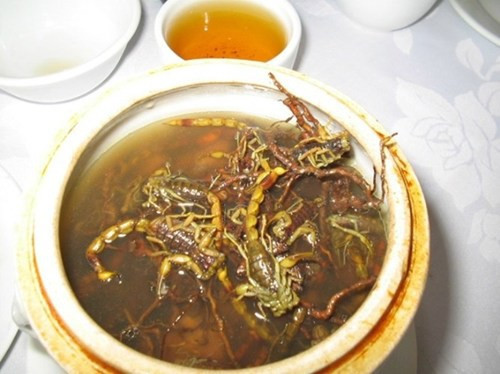 Theo Radiichina, quán ăn Dade Dun Pin ở huyện Yuexiu, tỉnh Quảng Châu, là địa chỉ nổi tiếng với các món canh rắn và bọ cạp.