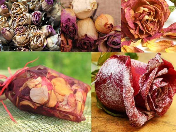 Đặc biệt, trà hoa hồng còn giúp bạn dễ dàng thoát khỏi tình trạng trầm cảm, khó ngủ bảo vệ lá gan của bạn, vì trầm cảm sẽ làm việc giải độc gan khó khăn hơn.