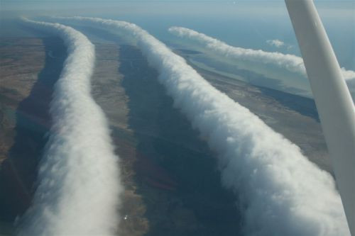 Mây 'morning glory' thường xuất hiện vào mùa xuân ở khu vực vịnh Carpentaria, Queensland. Mây này có dạng ống dài và là sản phẩm của sự chênh lệch nhiệt độ khá cao giữa đất liền và đại dương.