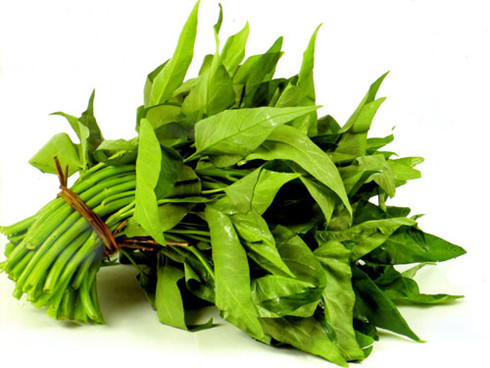 Rau muống: không chỉ giải độc rượu mà nước rau muống còn có thể uống để giải độc rất tốt. Lấy rau muống tươi rửa thật sạch, để ráo nước sau đó đem xay hoặc giã nát vắt lấy nước cốt để uống. Ảnh: Giáo dục.