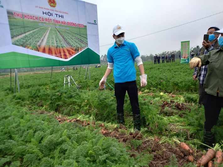 Hoàng Đức, Đức Chiến và Trọng Đại đều thuộc biên chế CLB Viettel và cùng quê Hải Dương. Sau sự kiện này, các cầu thủ trở về CLB tiếp tục chuẩn bị cho mùa giải mới. Lễ xuất quân của CLB Viettel dự kiến diễn ra vào ngày 22/2.