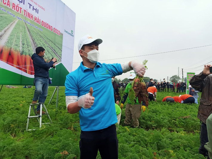 Trong số 5 đội tham gia thi thu hoạch cà rốt, Hoàng Đức làm đội trưởng đội 3, Trọng Đại làm đội trưởng đội 4, Đức Chiến làm đội trưởng đội 5. Nghệ sĩ ưu tú Đăng Dương làm đội trưởng đội 1 và nghệ sĩ, danh hài Bình Trọng làm đội trưởng đội 2.