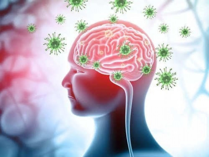 Dù có tỷ lệ tử vong cao nhưng virus Nipah có tốc độ lây lan thấp hơn virus SARS-CoV-2. Khoảng 20% những người sống sót sau khi nhiễm virus Nipah có các triệu chứng thần kinh kéo dài như co giật và thay đổi tính cách. Vì vậy, cơ quan chức năng khuyến cáo người dân không nên ăn trái cây rơi trên mặt đất và tránh tiếp xúc với dơi ăn quả, động vật đi lạc hay người bị nhiễm virus Nipah.