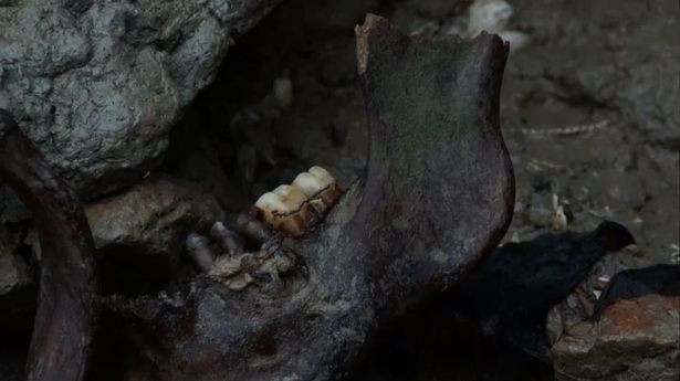 Một số người sau khi trở về kể rằng không thể nào quên cảnh tượng ở trên đảo Deadman giống như phim kinh dị bởi quan tài và hài cốt nằm rải rác khắp nơi.