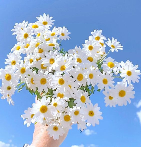 Những người này rất có tham vọng. Cuộc đời họ sẽ gặp phải không ít những khó khăn nhưng với họ, đây đều là cơ hội để bản thân tôi luyện thêm mình, học hỏi thêm những bài học quý báu.