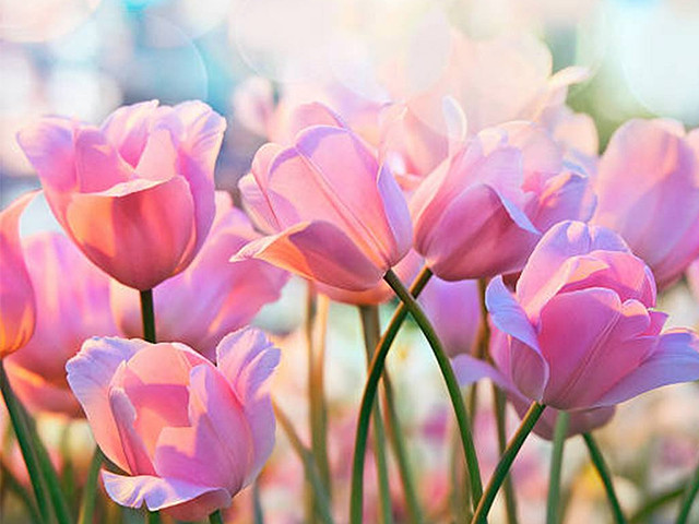 Họ có thể bình tĩnh mà tìm ra những hướng giải quyết phù hợp nhất với tình hình, khiến mọi người xung quanh phải nể phục và ngưỡng mộ.