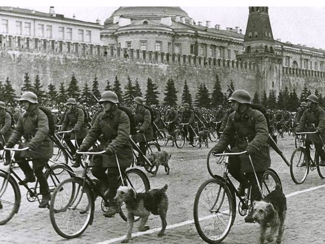 Vào tháng 6/1941, phát xít Đức bất ngờ tấn công xâm lược Liên Xô. Theo đó, quốc gia này chính thức bước vào Thế chiến 2. Trong cuộc chiến chống quân xâm lược, giới chức Moscow có quyết định quan trọng là sử dụng những chú chó làm vũ khí "sống".
